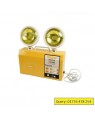 Emergency light
