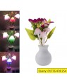 LED Mushroom Dim Light