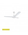 Ceiling Fan Energypac 