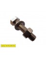 Nut Bolt SS 16x125 mm