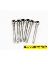 Steel Star Screw 