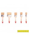 Paint Brush 5 Pcs Flat (1
