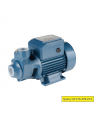 Water Pump Marquis 0.5HP