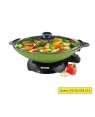 Electric Curry Cooker (Multi Cooker)