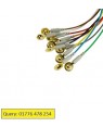 Electrode EEG EMG Test Gold Plated and Silver Plated