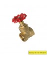 Brass Gate Valve 1/2