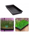 Hydroponic Grass Tray 20