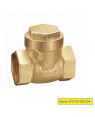Non Return Check Valve 1