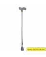 Walking Stick