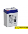 Rechargeable Sealed Lead Acid Battery 