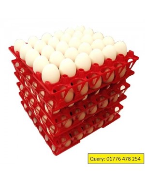 Plastic Eggs Tray for Chicken/Ducks Egg Carrying Tray 02pcs