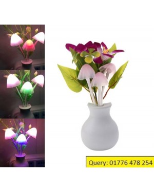 LED Mushroom Dim Light