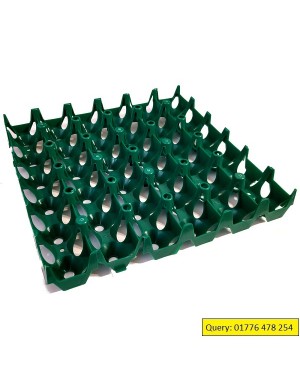 Plastic Eggs Tray for Quail Egg Carrying Tray 50pcs