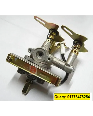 Gas Stove SS Double Auto Ignition